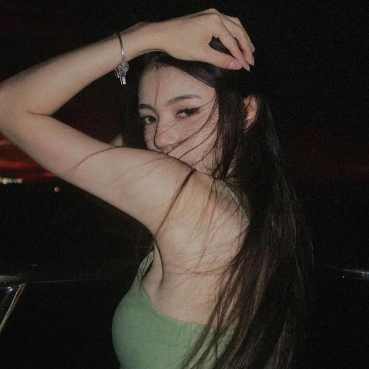 卧虎藏龙之楚飞传